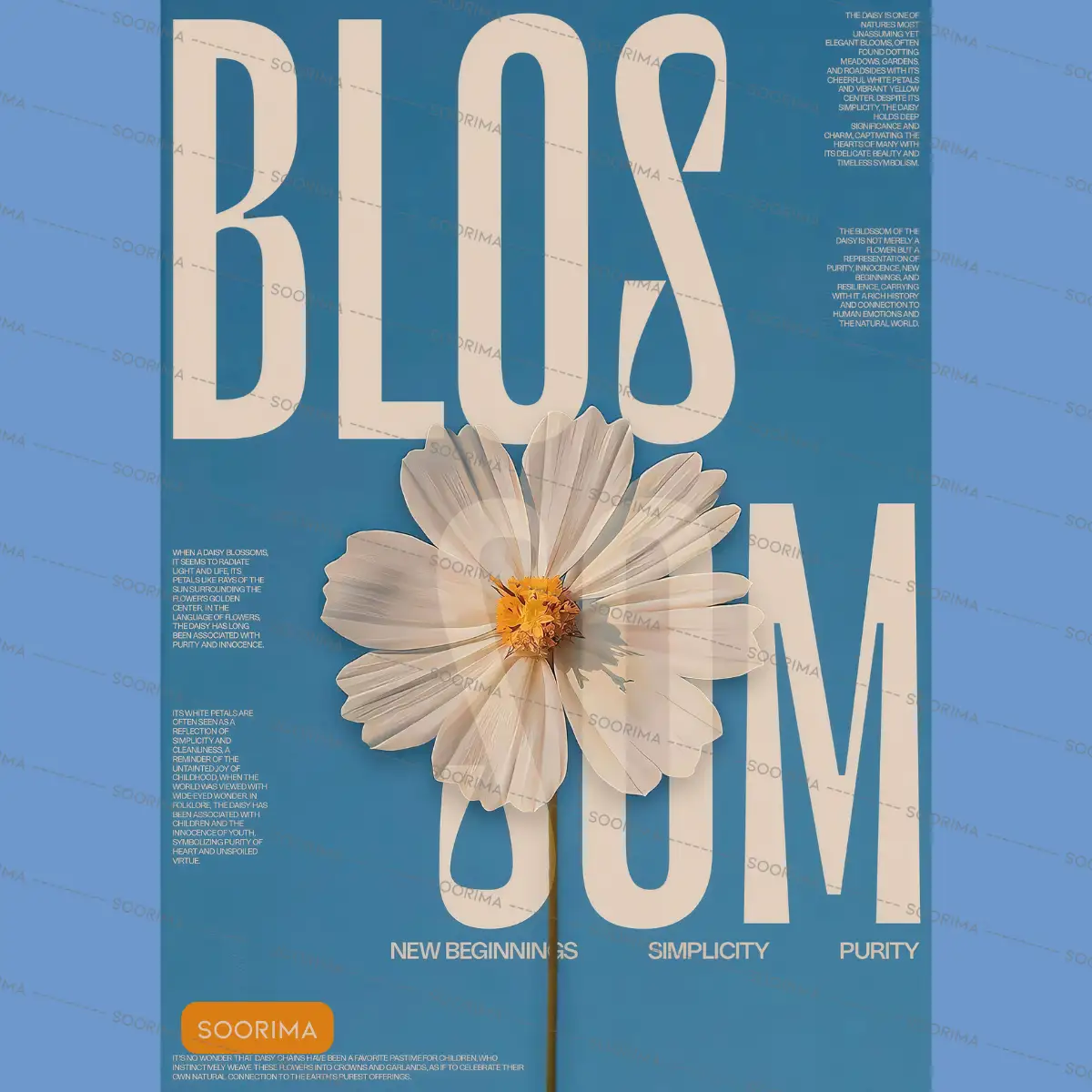 طرح تابلو دکوراتیو Blossom ثوریما