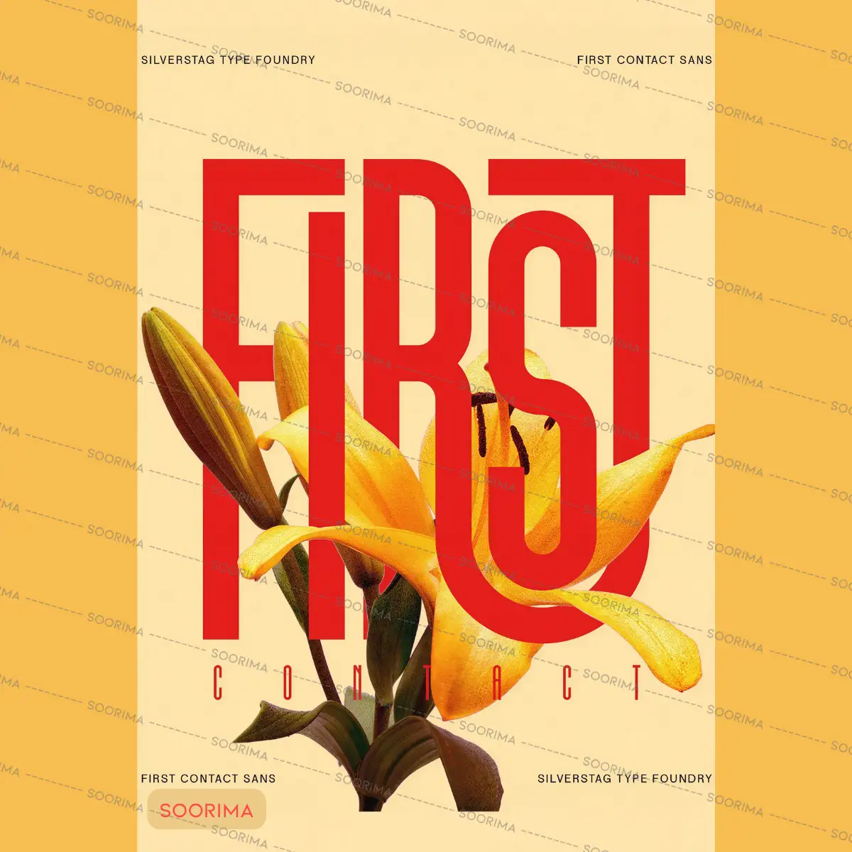 طرح جلد مجله دکوراتیو First ثوریما