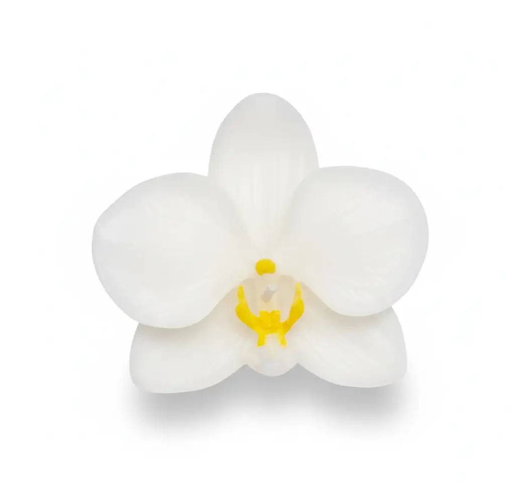 شمع گلبرگ ارکیده سفید نمای روبرو با طراحی طبیعی و شبیه گل واقعی